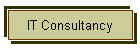 IT Consultancy